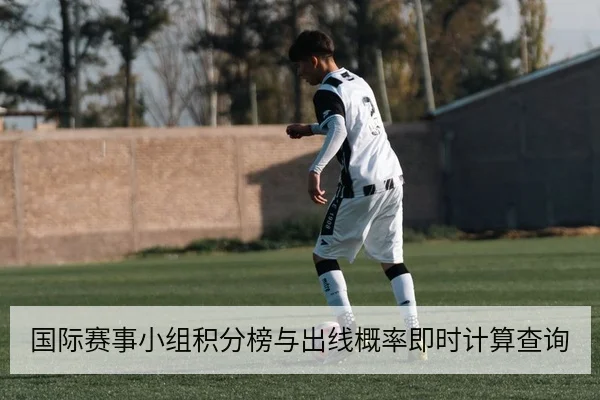 国际赛事小组积分榜与出线概率即时计算查询
